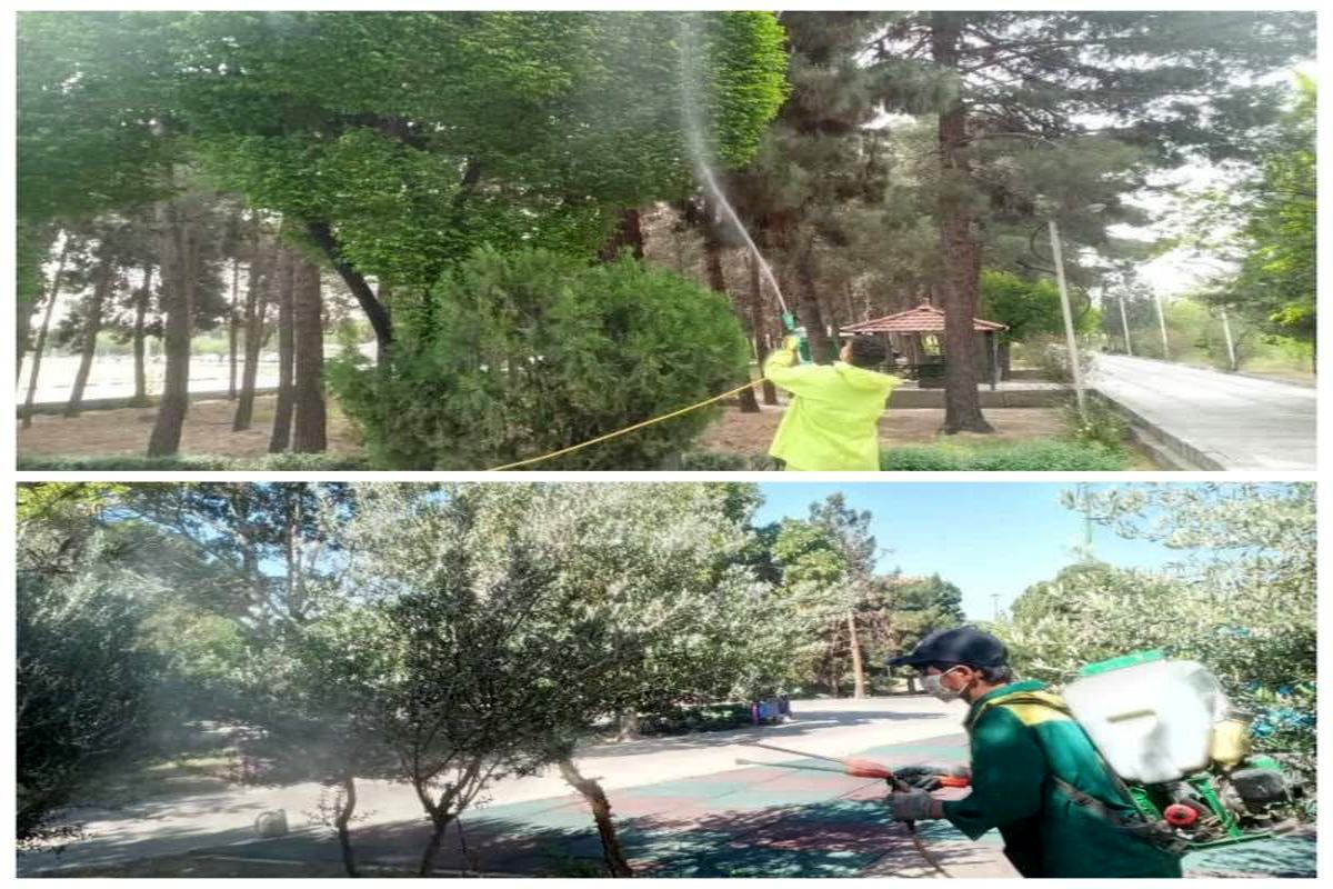 آغاز عملیات پایش فضای سبز منطقه ۱۹ تهران