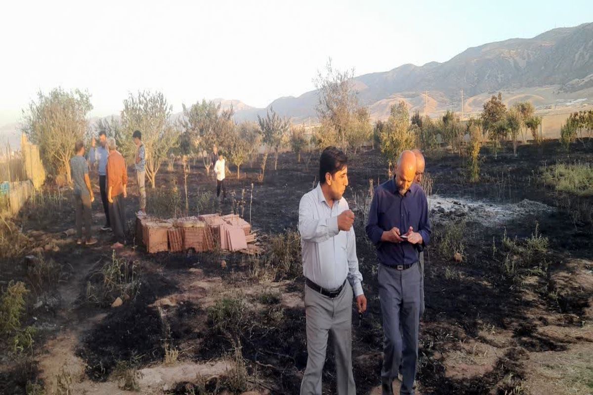 خسارت  ۲۴ میلیارد ریالی آتش سوزی به مزارع خرم آباد