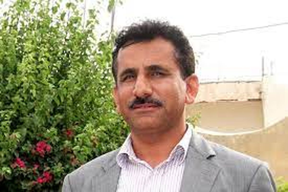 جمع آوری و عقیم سازی ۲۰۲ قلاده سگ بی پناه در قشم