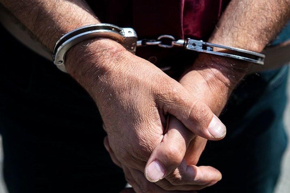 دستگیری ۲۳۰ نفرسارق و کشف ۹۷ فقره سرقت در شهریار