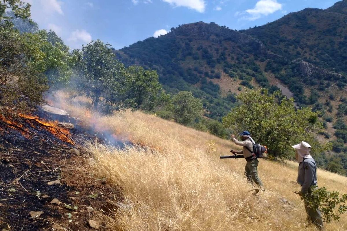 مهار آتش سوزی منطقه حفاظت شده سیوک شهرستان بویراحمد