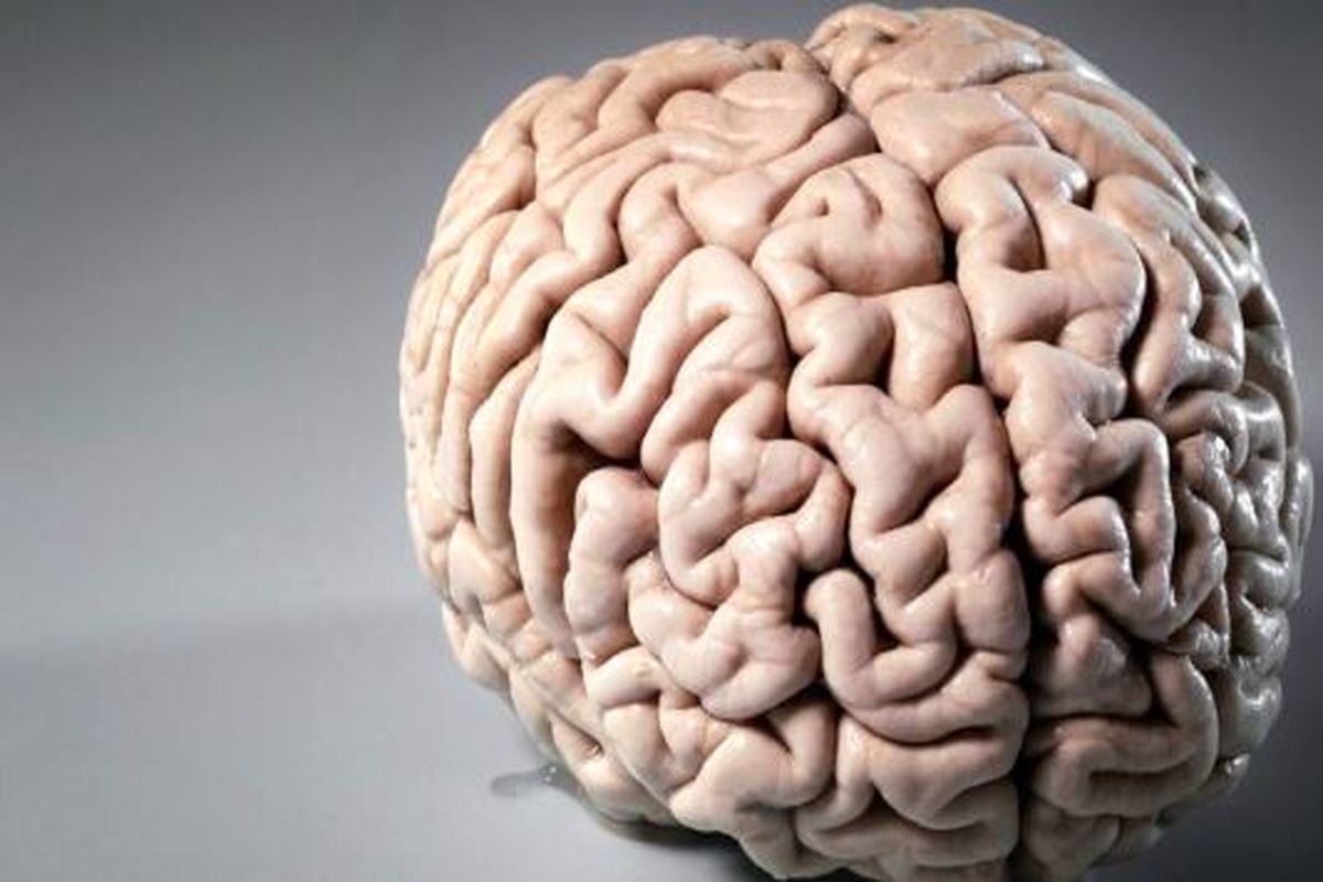 خطرناک ترین دشمن مغز چیست؟