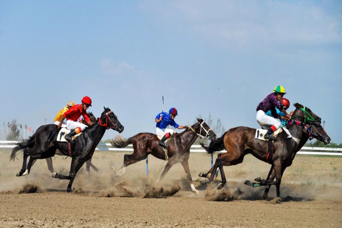 مسابقات سوارکاری استقامت و شوی اسب در قزوین برگزار می شود/ قزوین پایلوت آموزش سوارکاری