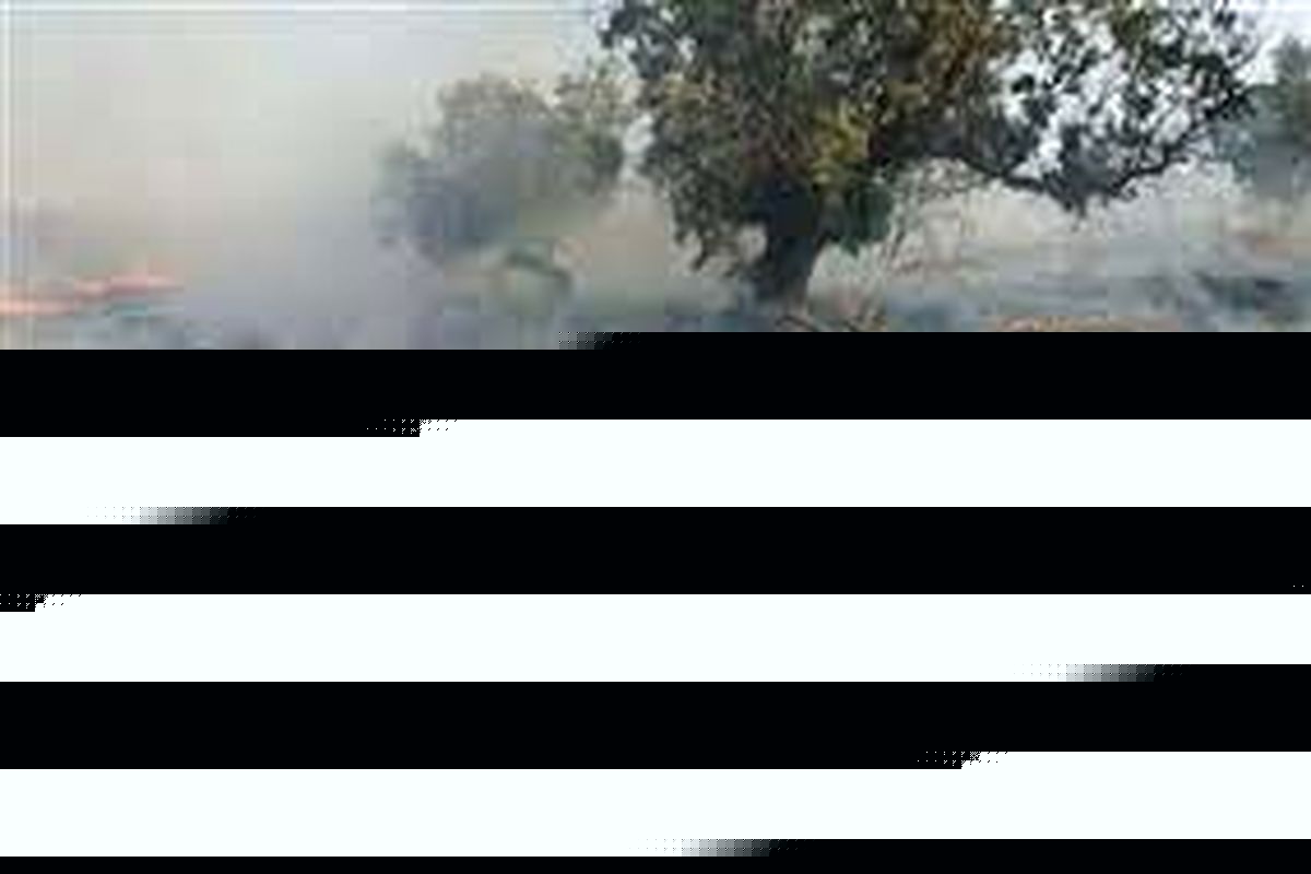 مهار آتش سوزی علفزار گرده داغ شهر زنجان