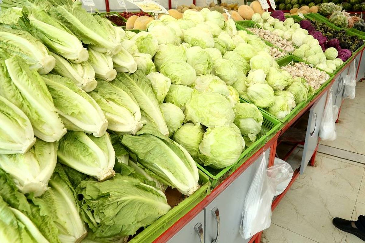 قیمت اغلب سبزیجات برگی و غیربرگی در میادین و بازارهای  میوه و تره بار کاهش یافت