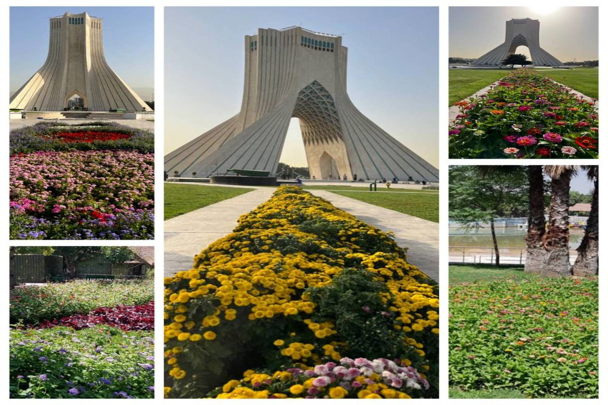 ۴ هزار متر از معابر غرب تهران  گلباران شد