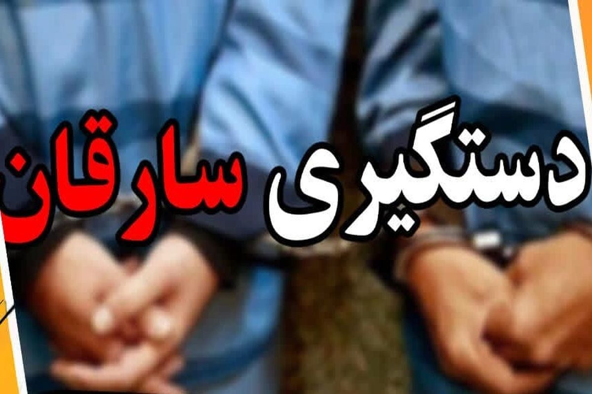 دستگیری ۳۳ سارق و مالخر در خراسان جنوبی