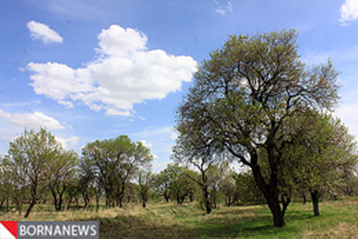 باغات استان قزوین شناسنامه دار می شوند