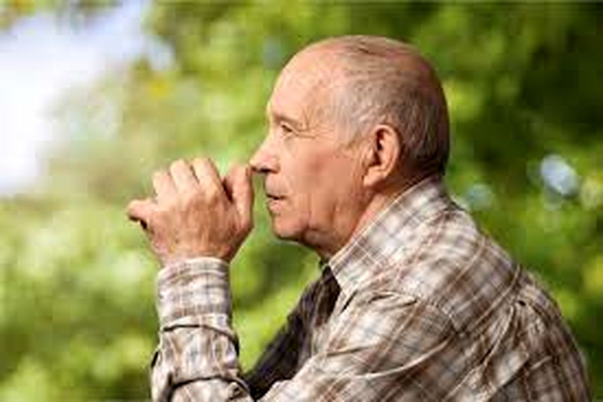 کاهش بینایی سالمندان با افزایش گرمای هوا
