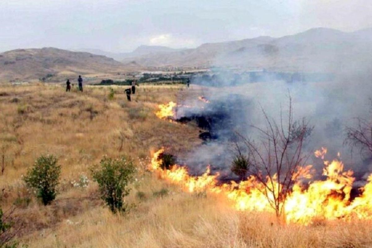 هوای گرم تا اواسط هفته در گلستان ماندگار است/ آماده باش نیروهای منابع طبیعی