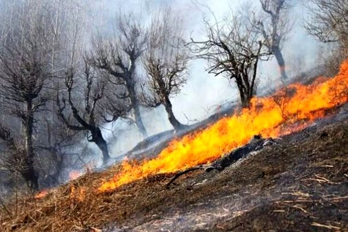 با تکنولوژی می توان آتش سوزی را پیش بینی کرد