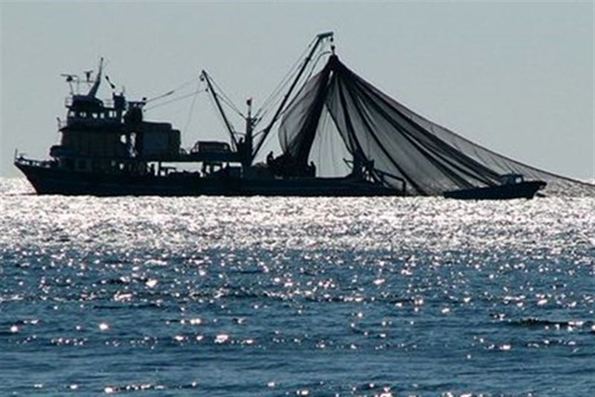 تکذیب صید ترال توسط کشتی های صید صنعتی خارجی