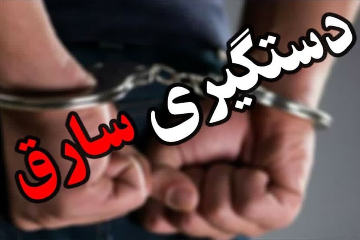دستگیری یک سارق در خوسف