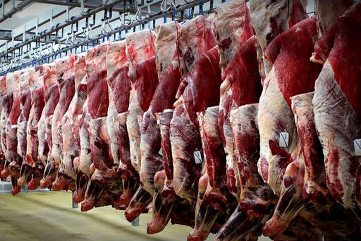 توزیع ۱۲۱ تن گوشت قرمز و مرغ منجمد بین مواکب اربعین در آذربایجان غربی