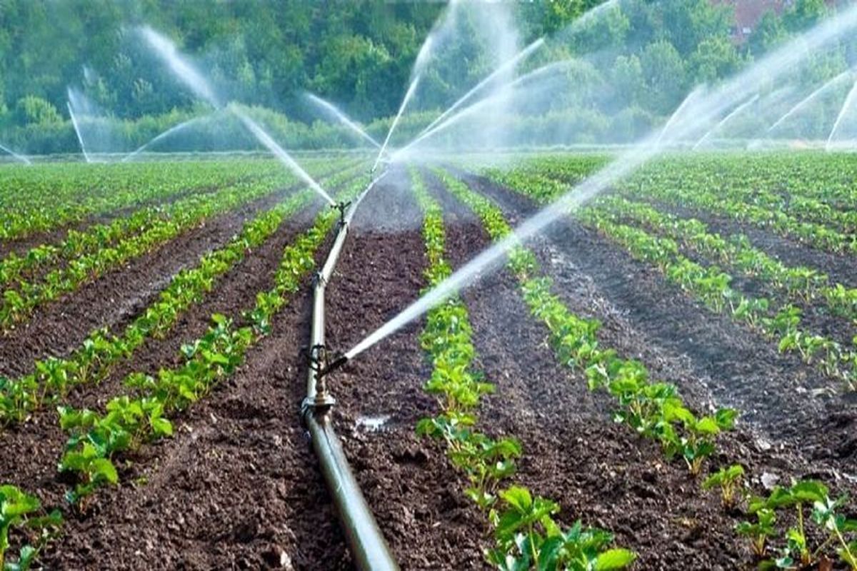 ۴۷ پروژه کشاورزی در استان بوشهر افتتاح و اجرایی شد