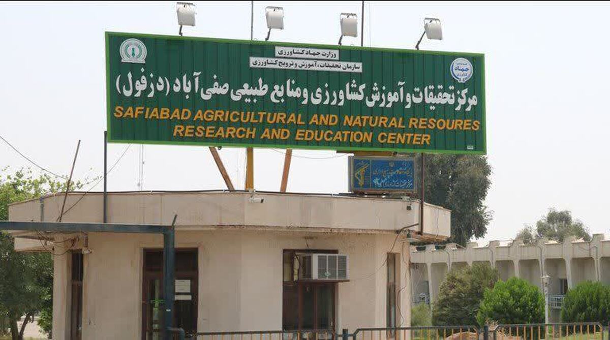 مرکز تحقیقات صفی آباد دزفول پاسخگوی نیاز علمی یکی از اقلیم‌های هشت گانه کشور است