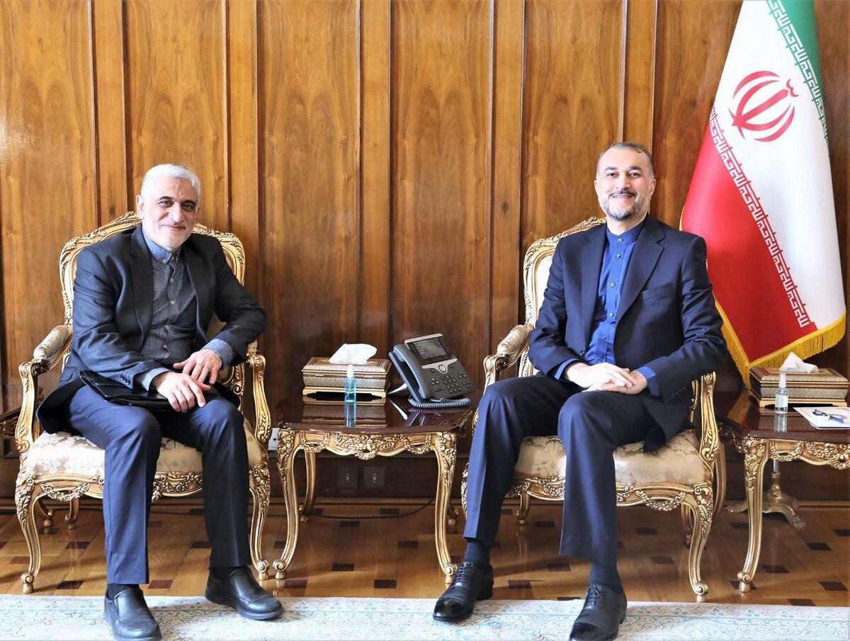 دیدار امیرعبداللهیان با سفیر و نماینده دائم ایران در سازمان ملل