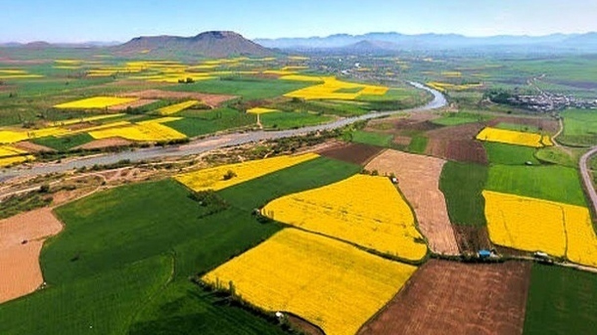 تثبیت مالکیت اراضی کشاورزی آذربایجان غربی در اولویت است
