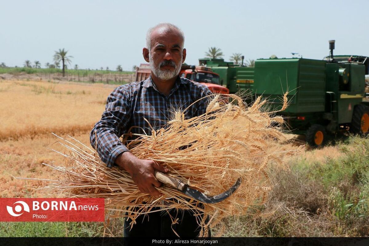 افزایش مشارکت مردمی در ارتقای تولیدات کشاورزی خوزستان