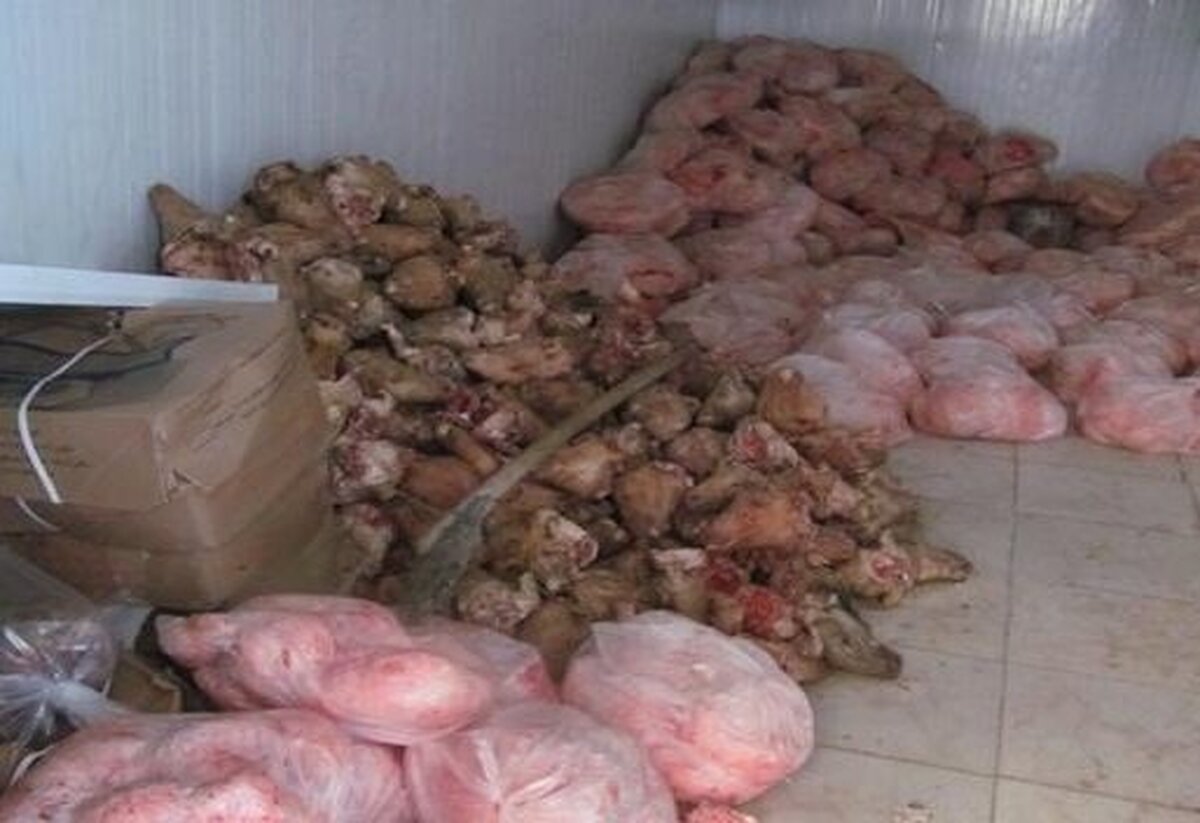 کشف و امحای بیش از ۹۰۰ کیلوگرم مرغ کشتار روز تاریخ گذشته در اهواز