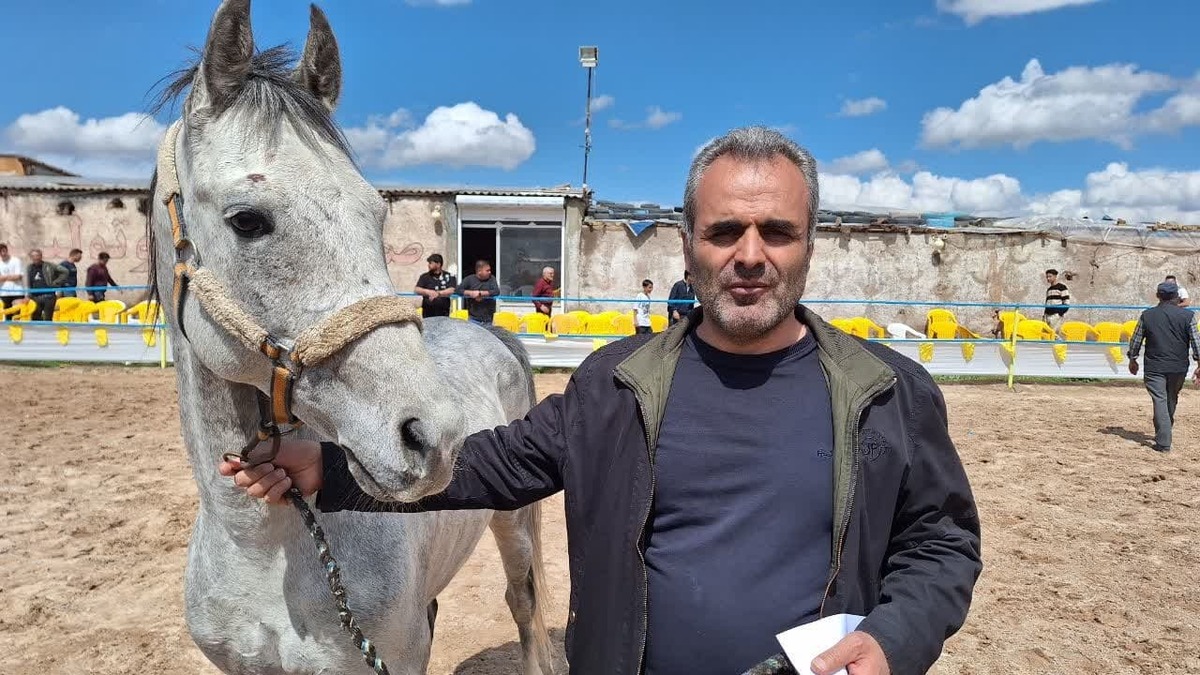 رکورد سوارکاران ساماندهی شده در استان قزوین شکسته شد
