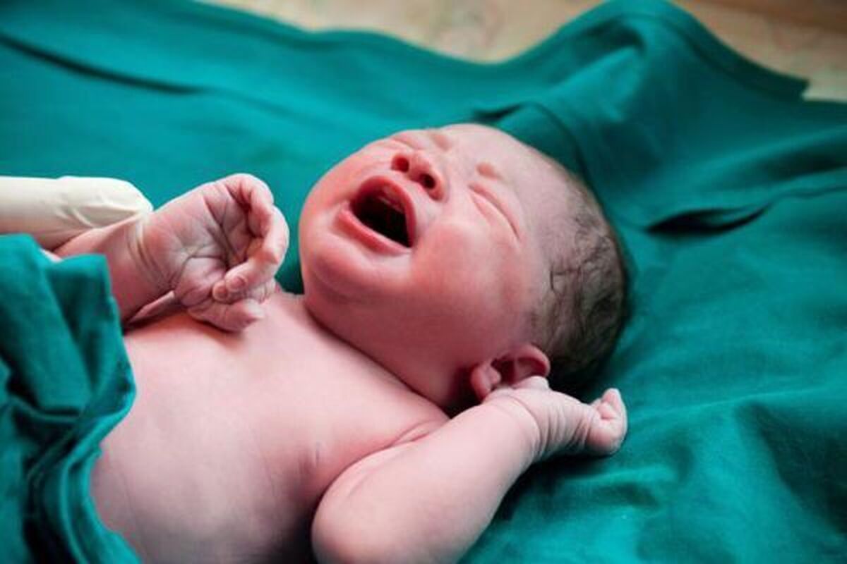 تولد ۶ نوزاد در هر شبانه روز در گیلان