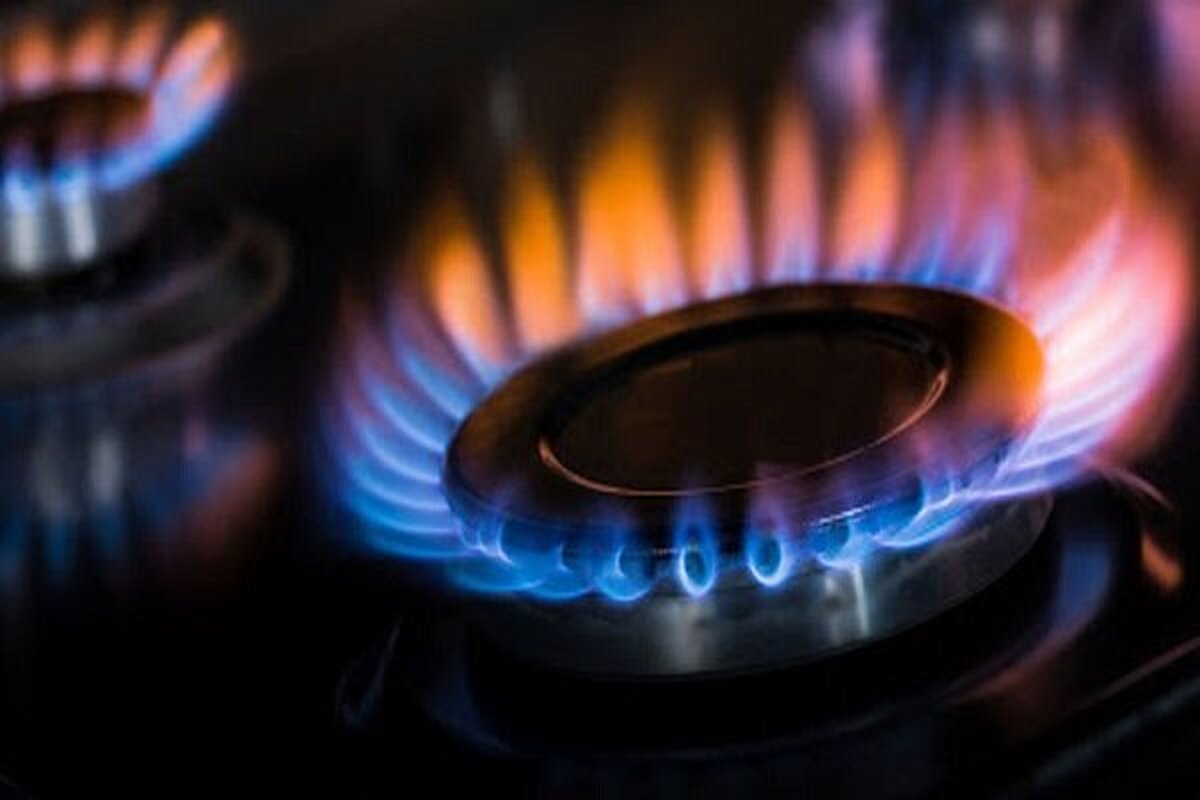 مدیرعامل شرکت گاز کردستان خبر داد:
مصرف بیش از ۳ میلیارد مترمکعب گاز در استان کردستان
