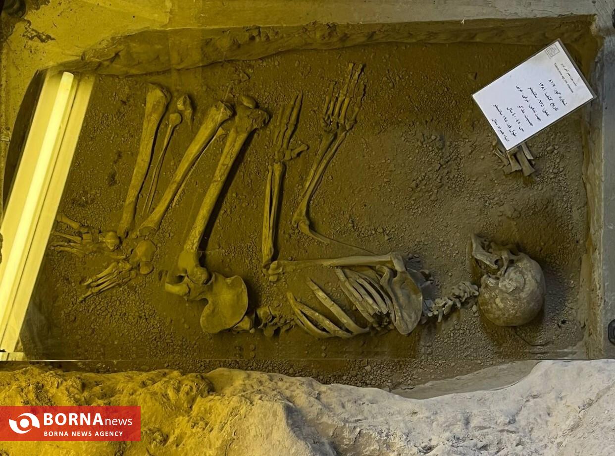 اینجا تاریخ خفته است/ میزبانی اجساد ۳۵۰۰ ساله از گردشگران + عکس اینجا تاریخ خفته است/ میزبانی اجساد ۳۵۰۰ ساله از گردشگران + عکس