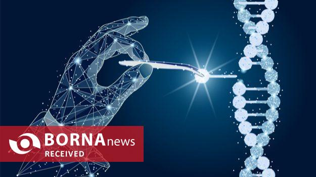 تحولی بزرگ در سلولدرمانی با اگزوزومهای ایرانی تحولی بزرگ در سلولدرمانی با اگزوزومهای ایرانی