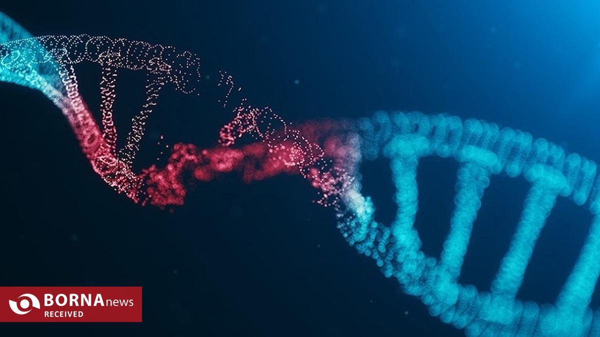 تحولی بزرگ در سلولدرمانی با اگزوزومهای ایرانی تحولی بزرگ در سلولدرمانی با اگزوزومهای ایرانی