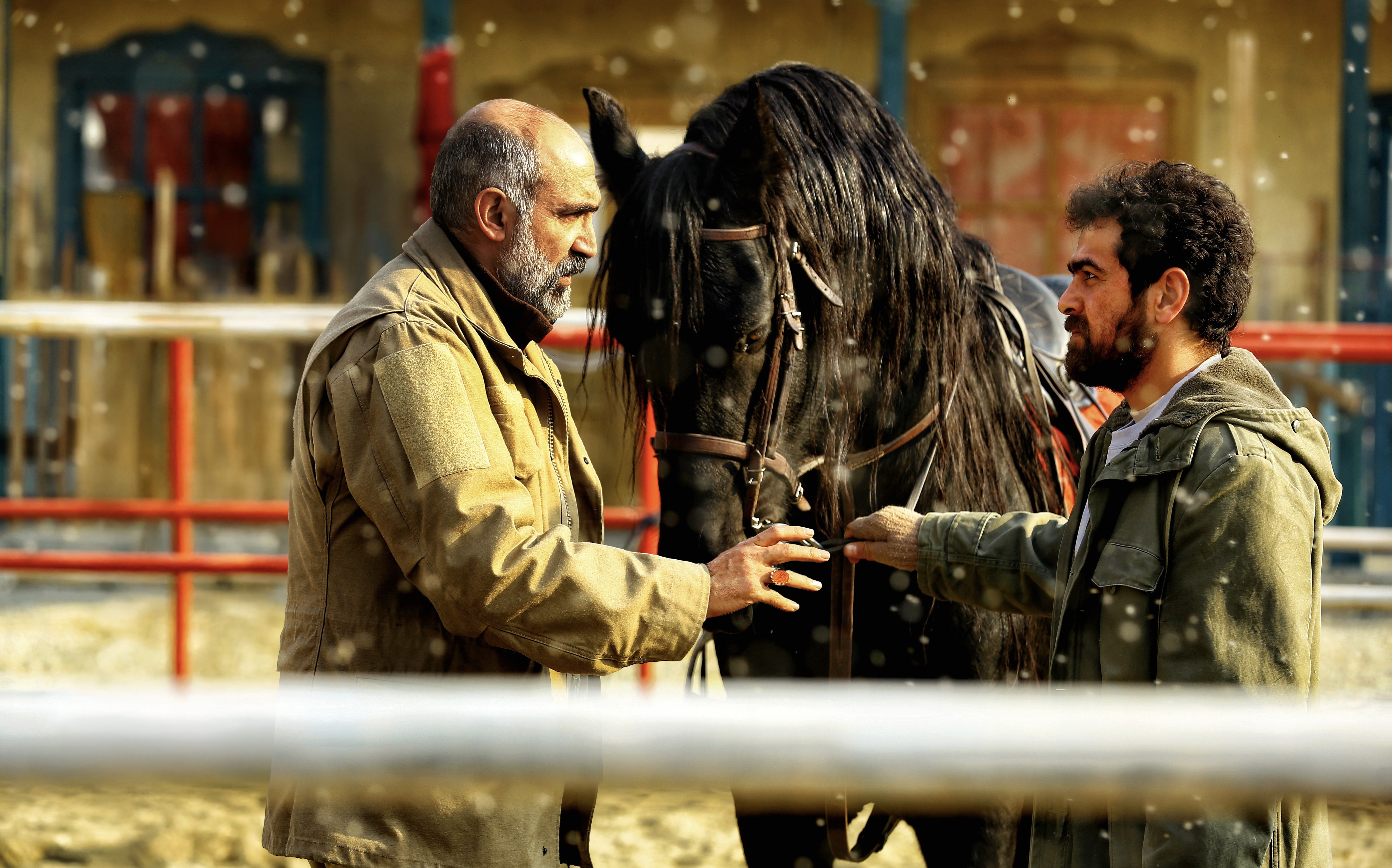 روز ششم جشنواره؛ از «کفایت مذاکرات» موفق تا «مرد آرام» صادقی روز ششم جشنواره؛ از «کفایت مذاکرات» موفق تا «مرد آرام» صادقی