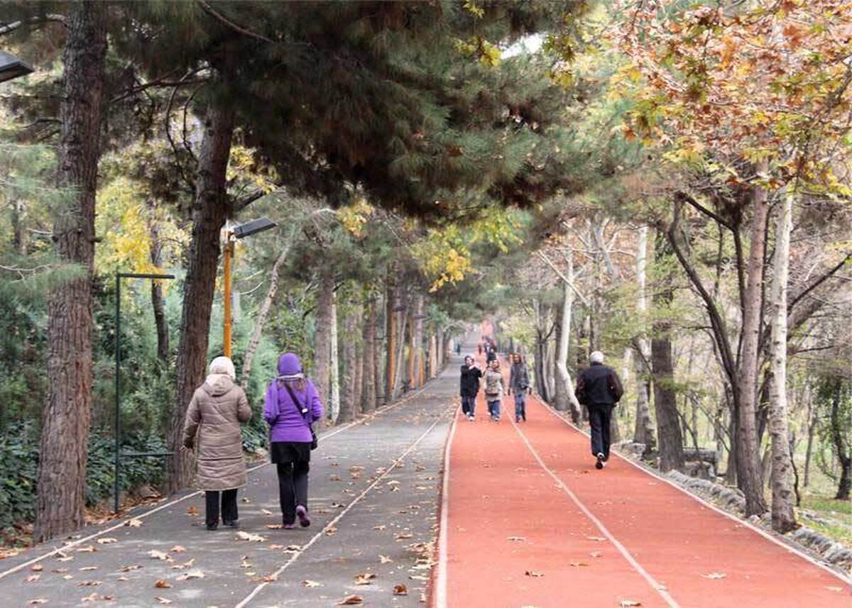 تاثیر جاده‌های تندرستی بر آینده‌ شهرها