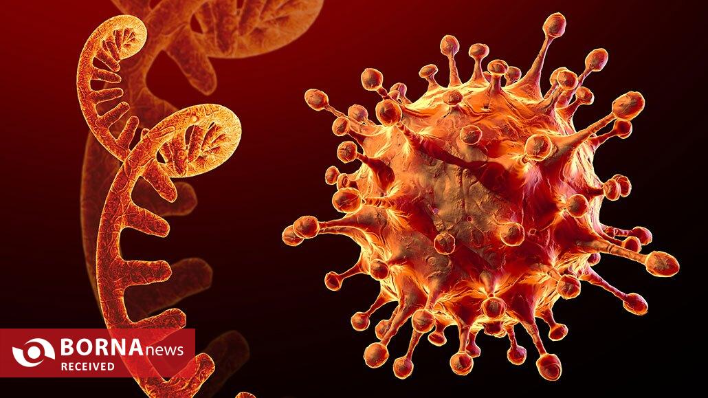 رمزگشایی از نقش پنهان RNA در مقابله با استرس سلولی رمزگشایی از نقش پنهان RNA در مقابله با استرس سلولی