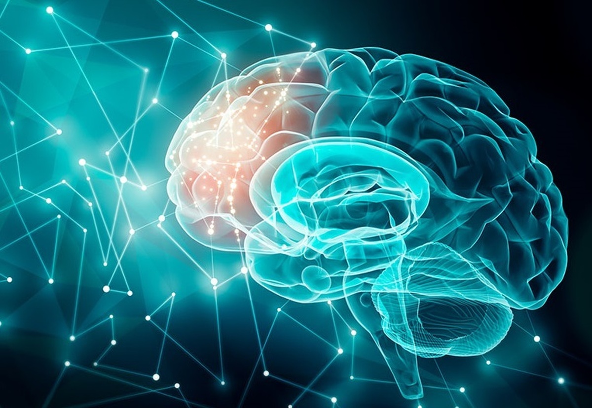 روزه‌داری و تأثیرات آن بر سیستم ایمنی و مغز