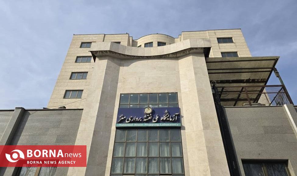 رمز و راز عملکرد مغز زیر ذرهبین محققان ایرانی رمز و راز عملکرد مغز زیر ذرهبین محققان ایرانی