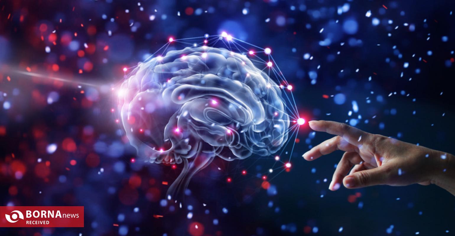 رمز و راز عملکرد مغز زیر ذرهبین محققان ایرانی رمز و راز عملکرد مغز زیر ذرهبین محققان ایرانی