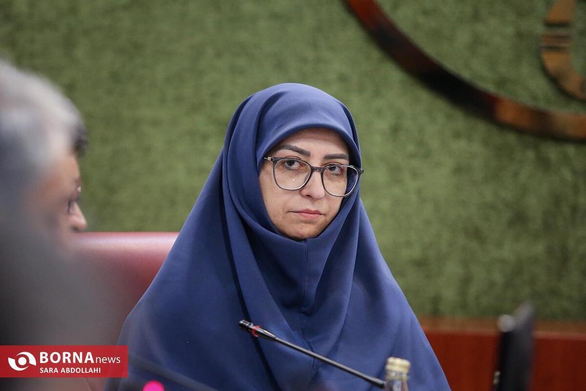 همکاری سازمان محیط زیست و وزارت دفاع برای مقابله با آتش‌سوزی‌های طبیعی