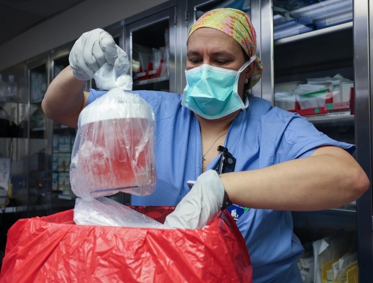 اولین دریافت‌کننده پیوند کلیه خوک درگذشت