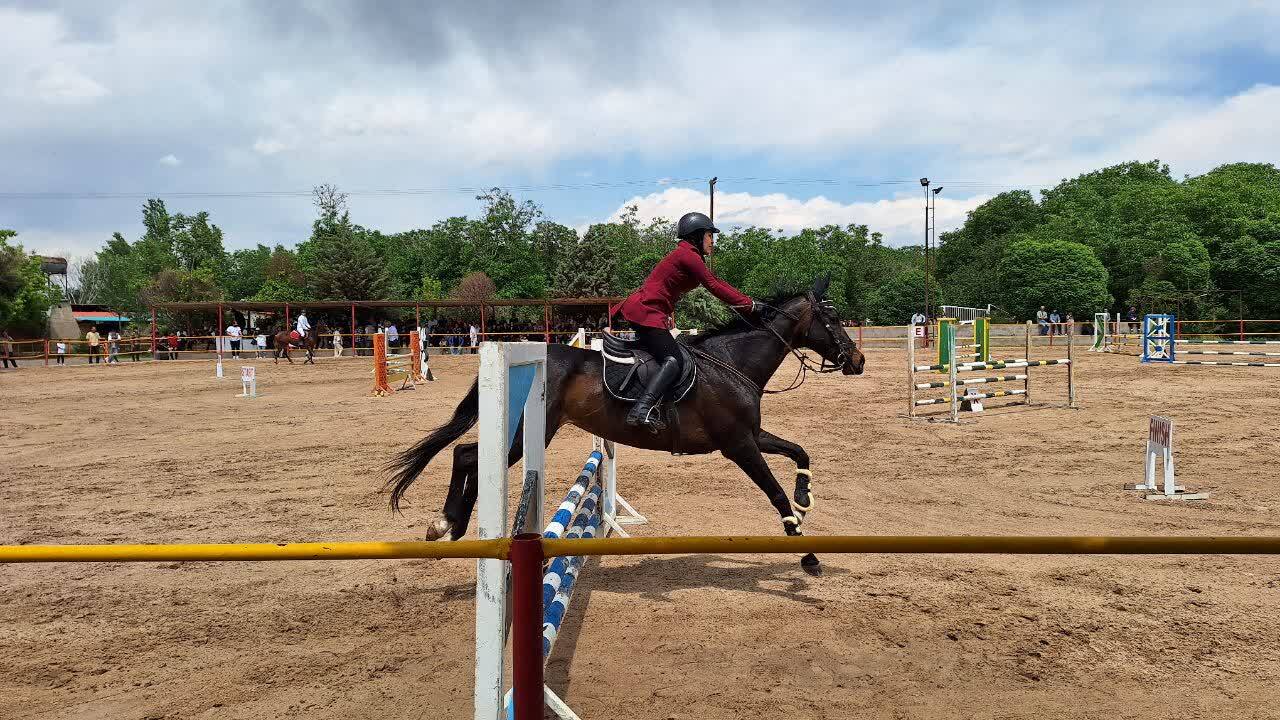 مسابقات پرش با اسب در قزوین برگزار شد مسابقات پرش با اسب در قزوین برگزار شد