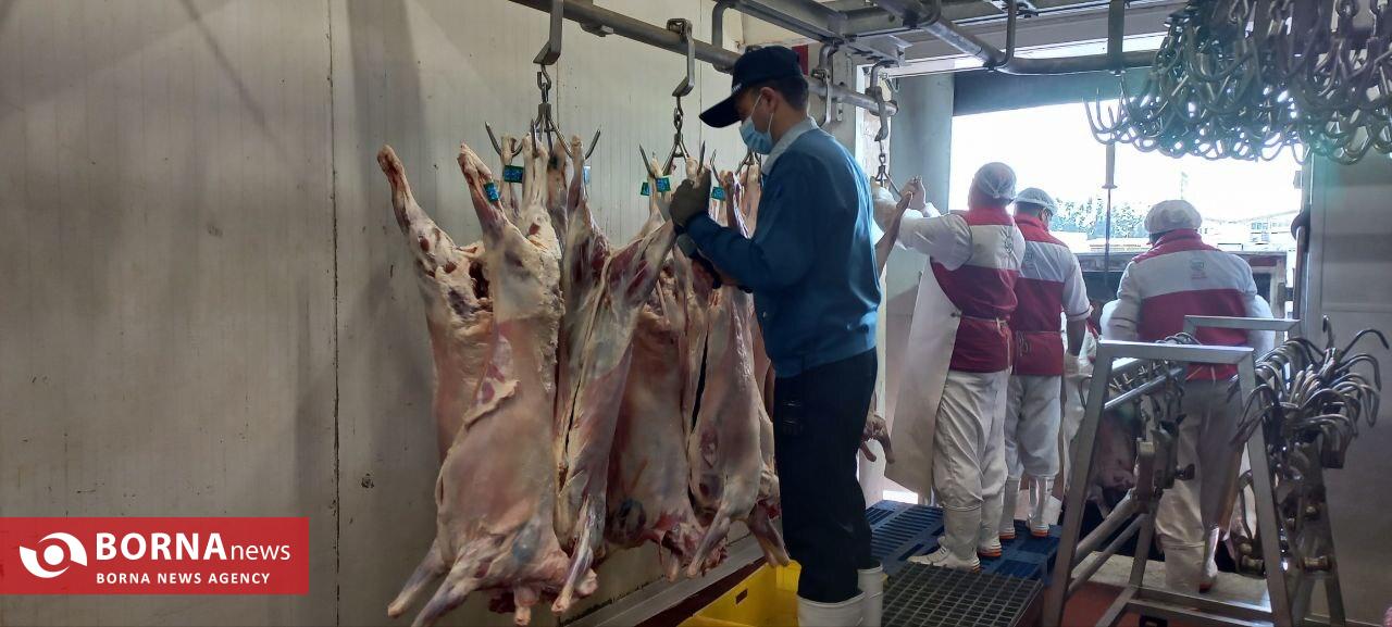 ۸۵ درصد نیاز كشور از گوشت تولید داخل تامین میشود ۸۵ درصد نیاز كشور از گوشت تولید داخل تامین میشود