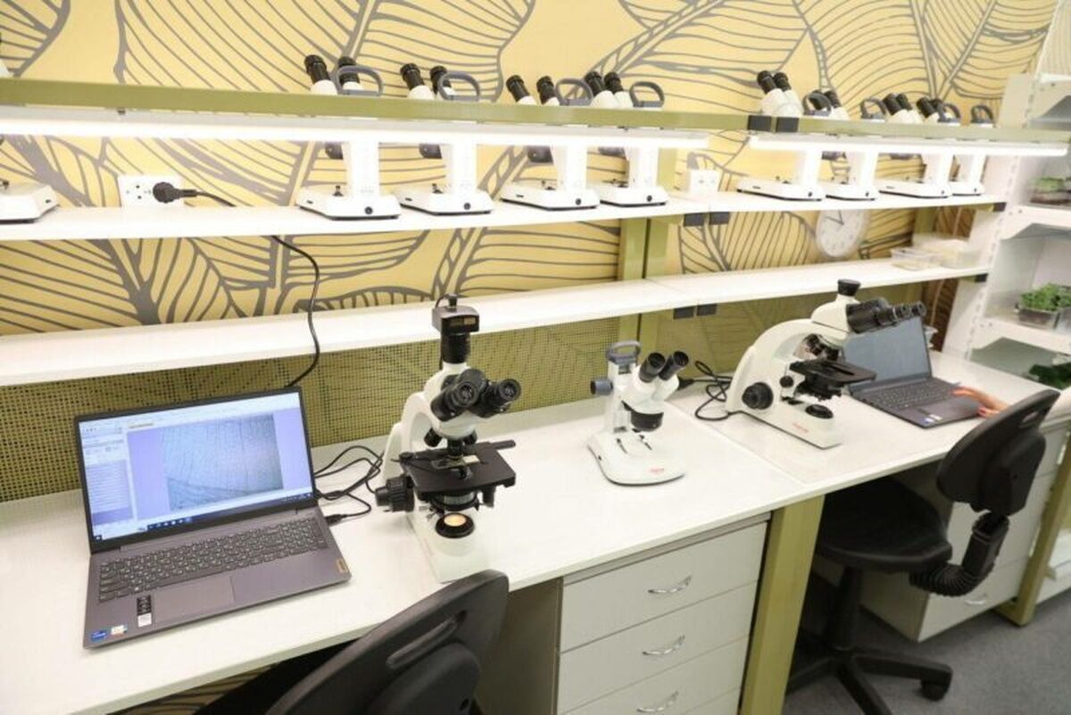 ایجاد سکوی جدید تولید دارو