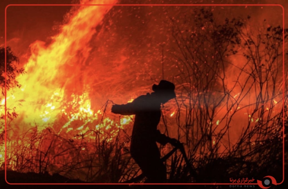 آتش سوزی گسترده در جنگل های نووروسیسک روسیه