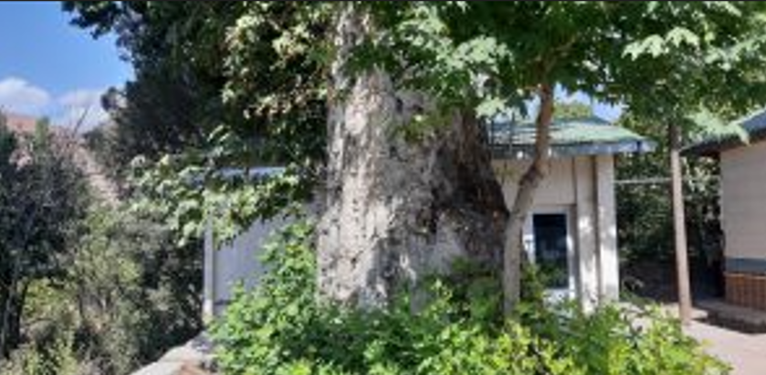 سه اثر طبیعی قزوین در فهرست آثار ملی ثبت شد