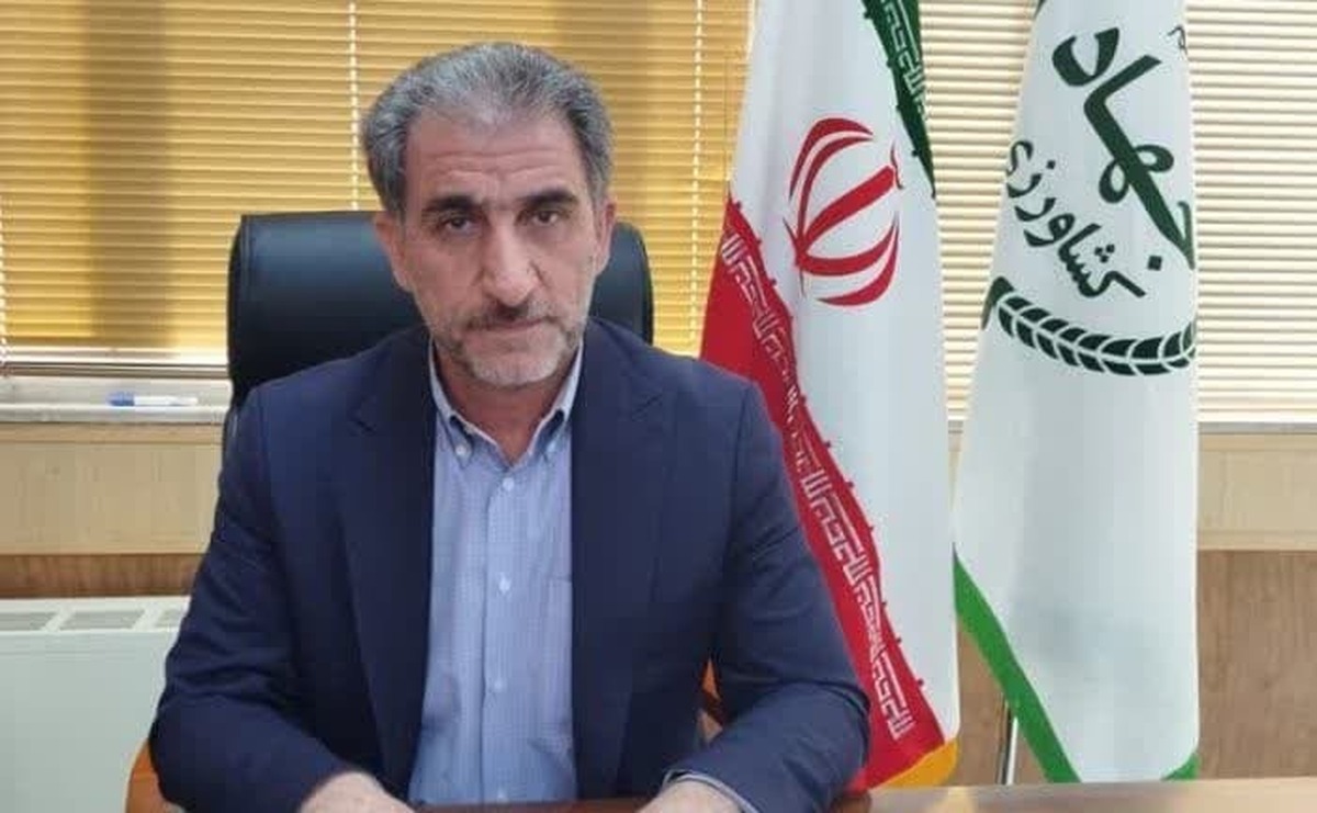 بیش از ۲۹ واحد گلخانه در ایلام فعال است