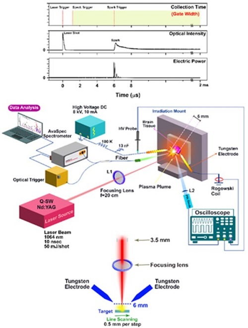 تشخیص به موقع سرطان مغز با روش نوری نوین تشخیص به موقع سرطان مغز با روش نوری نوین