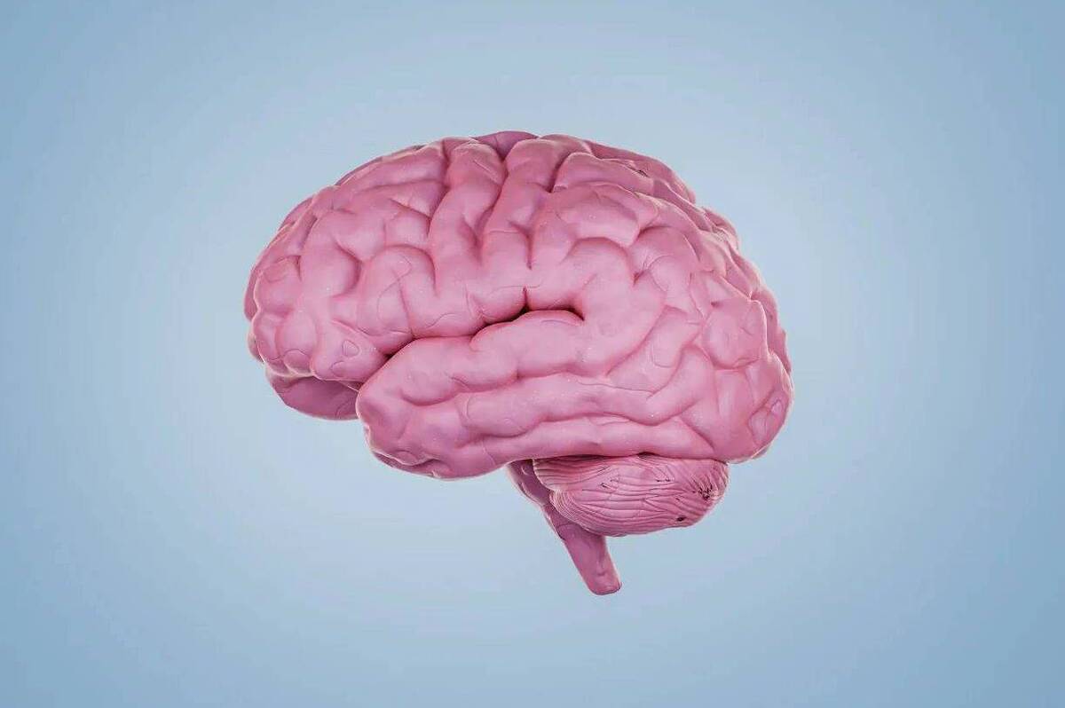 معرفی ۲ عامل خطرناک جدید برای پیشگیری از زوال عقل