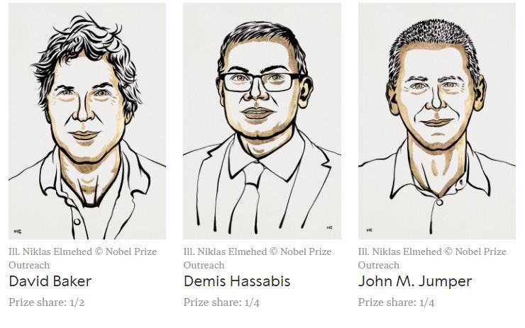 برنده جایزه نوبل شیمی ۲۰۲۴ مشخص شد