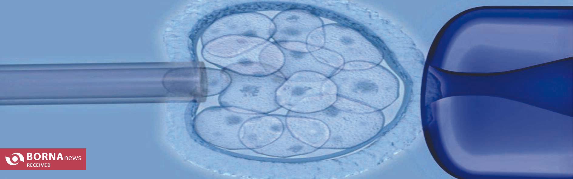 انقلابی در درمان ناباروری مردان/ تراشه ایرانی جایگزین روشهای قدیمی ناباروری شد انقلابی در درمان ناباروری مردان/ تراشه ایرانی جایگزین روشهای قدیمی ناباروری شد