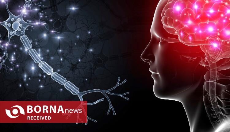 درمان نوآورانه آلزایمر در ایران/ جنگ با آلزایمر به روش آدامسی و آبنباتی درمان نوآورانه آلزایمر در ایران/ جنگ با آلزایمر به روش آدامسی و آبنباتی