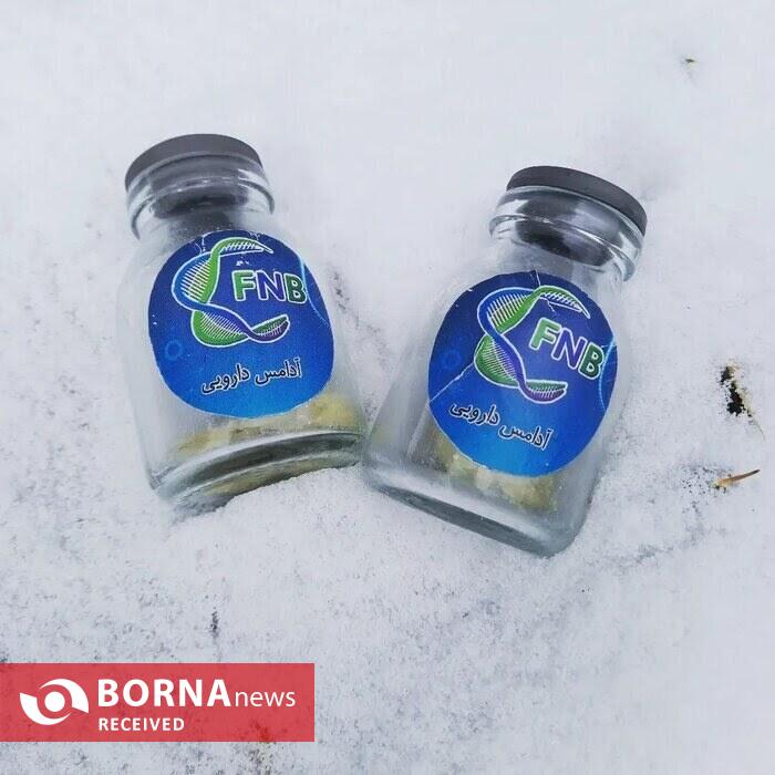 درمان نوآورانه آلزایمر در ایران/ جنگ با آلزایمر به روش آدامسی و آبنباتی درمان نوآورانه آلزایمر در ایران/ جنگ با آلزایمر به روش آدامسی و آبنباتی